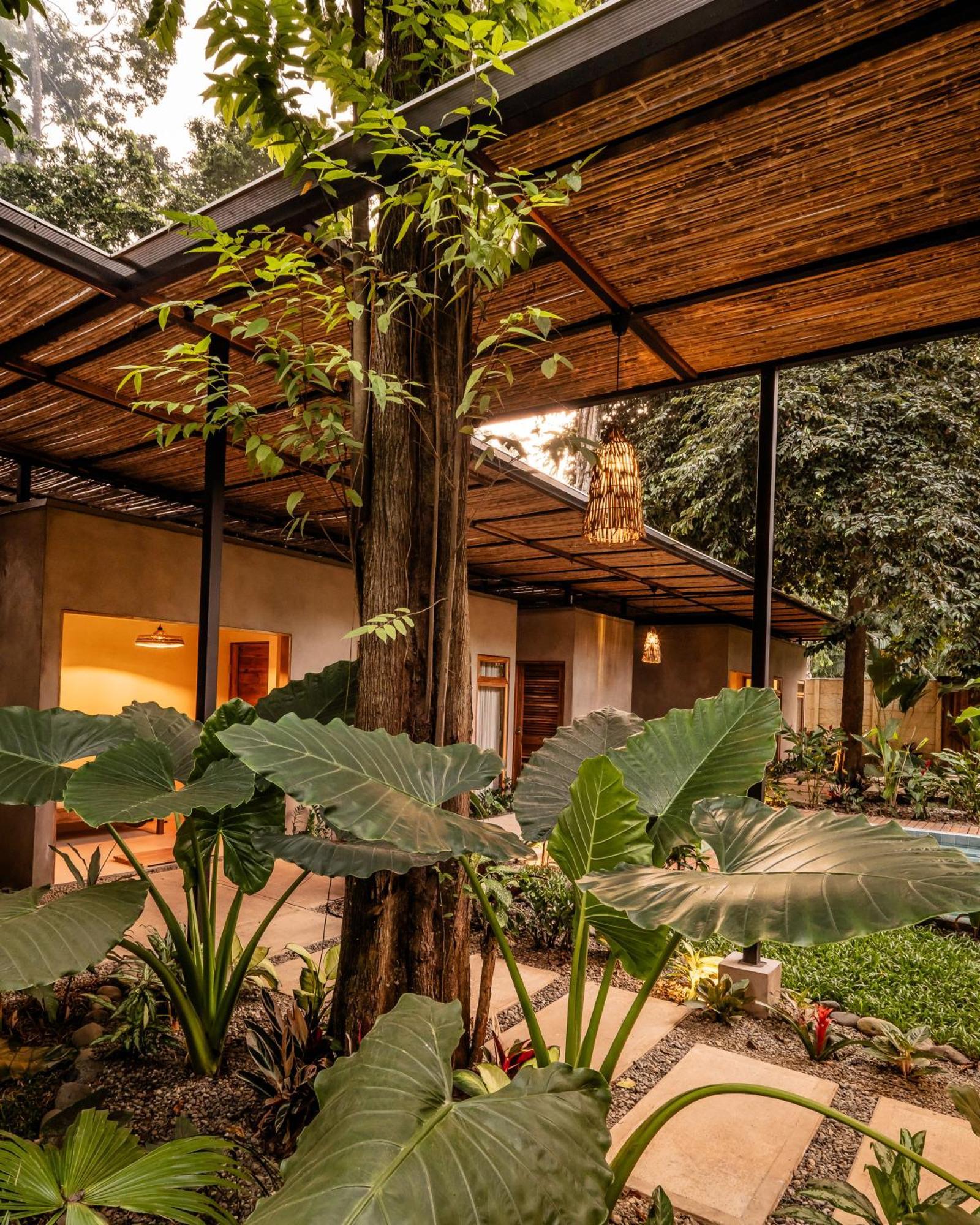 La Bonita Lodge Puerto Viejo de Talamanca Zewnętrze zdjęcie